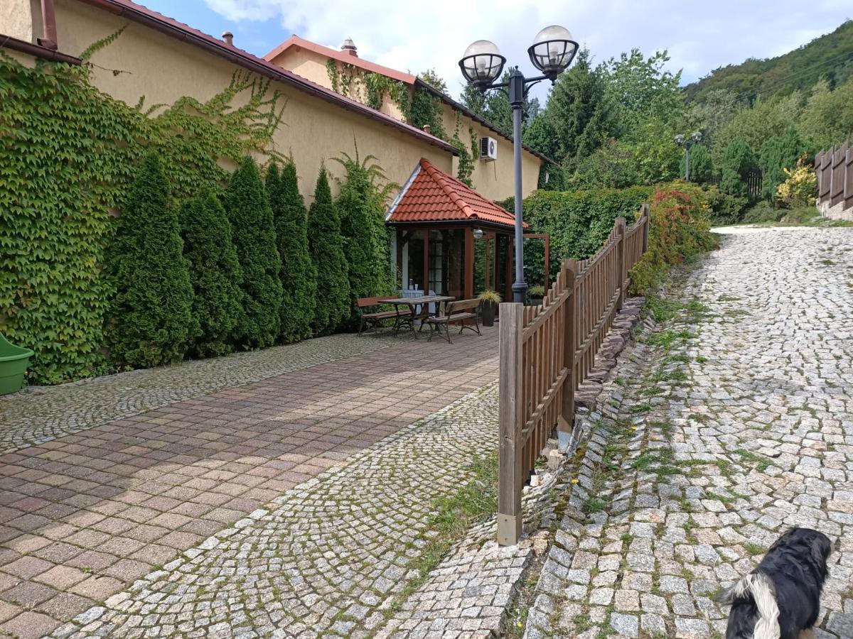 Hostel Zielone Wzgorze Wałbrzych Exteriér fotografie