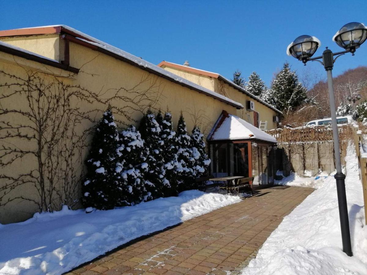 Hostel Zielone Wzgorze Wałbrzych Exteriér fotografie