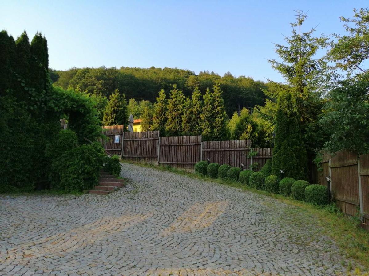 Hostel Zielone Wzgorze Wałbrzych Exteriér fotografie